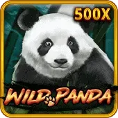 Wild Panda thumbnail