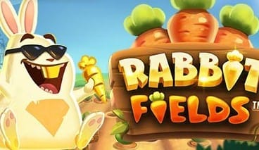Rabbit Fields